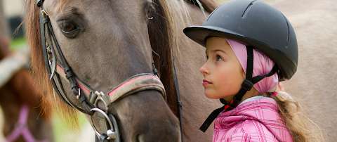 Jobs in New England Equine Pratice - reviews